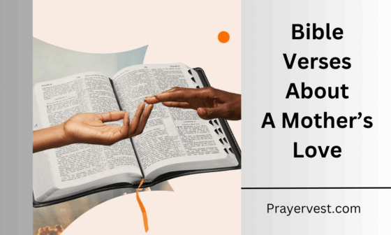 Bible Verses About A Mother's Love