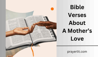 Bible Verses About A Mother's Love