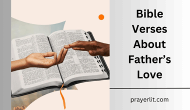 Bible Verses About Father's Love
