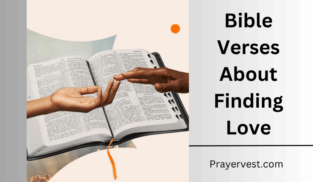 Bible Verses About Finding Love