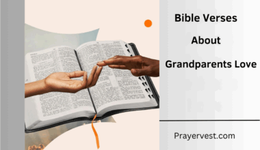 Bible Verses About Grandparents Love