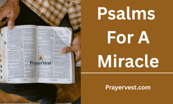 Psalms For A Miracle