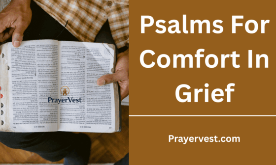 Psalms For Comfort In Grief