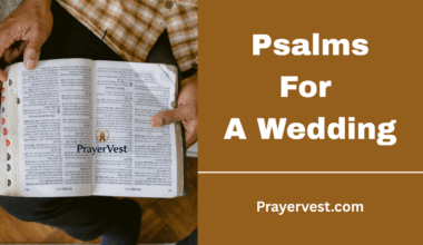 Psalms For A Wedding