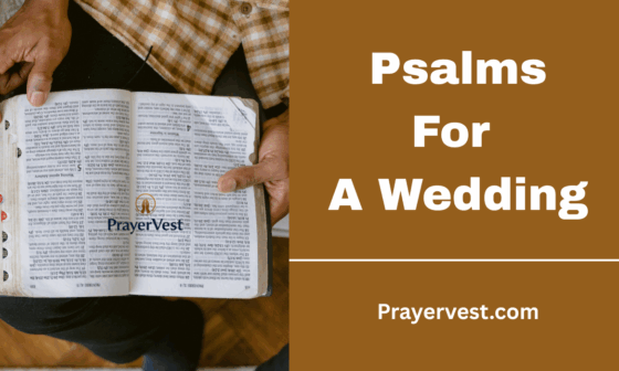 Psalms For A Wedding