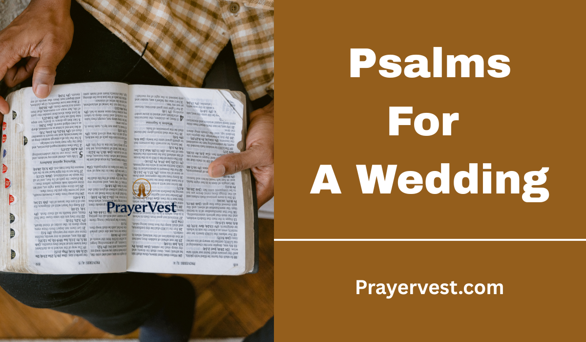 Psalms For A Wedding