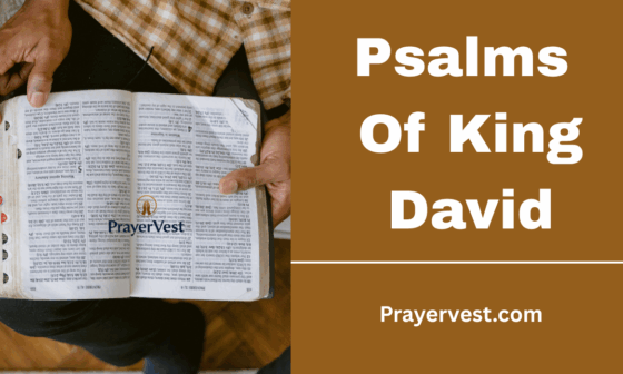 Psalms Of King David