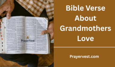 Bible Verse About Grandmothers Love