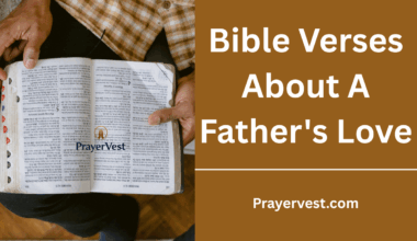 Bible Verses About A Father's Love