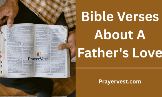 Bible Verses About A Father's Love