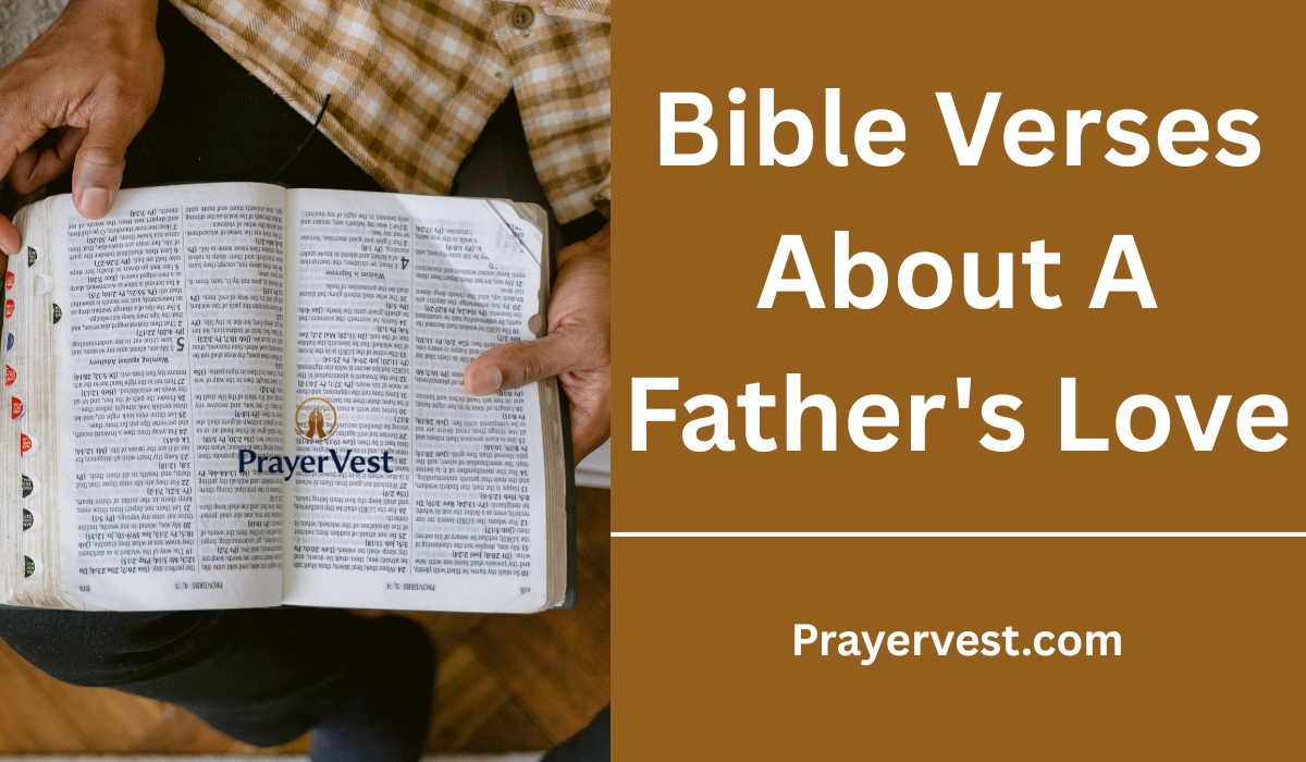 Bible Verses About A Father's Love