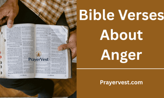 Bible Verses About Anger