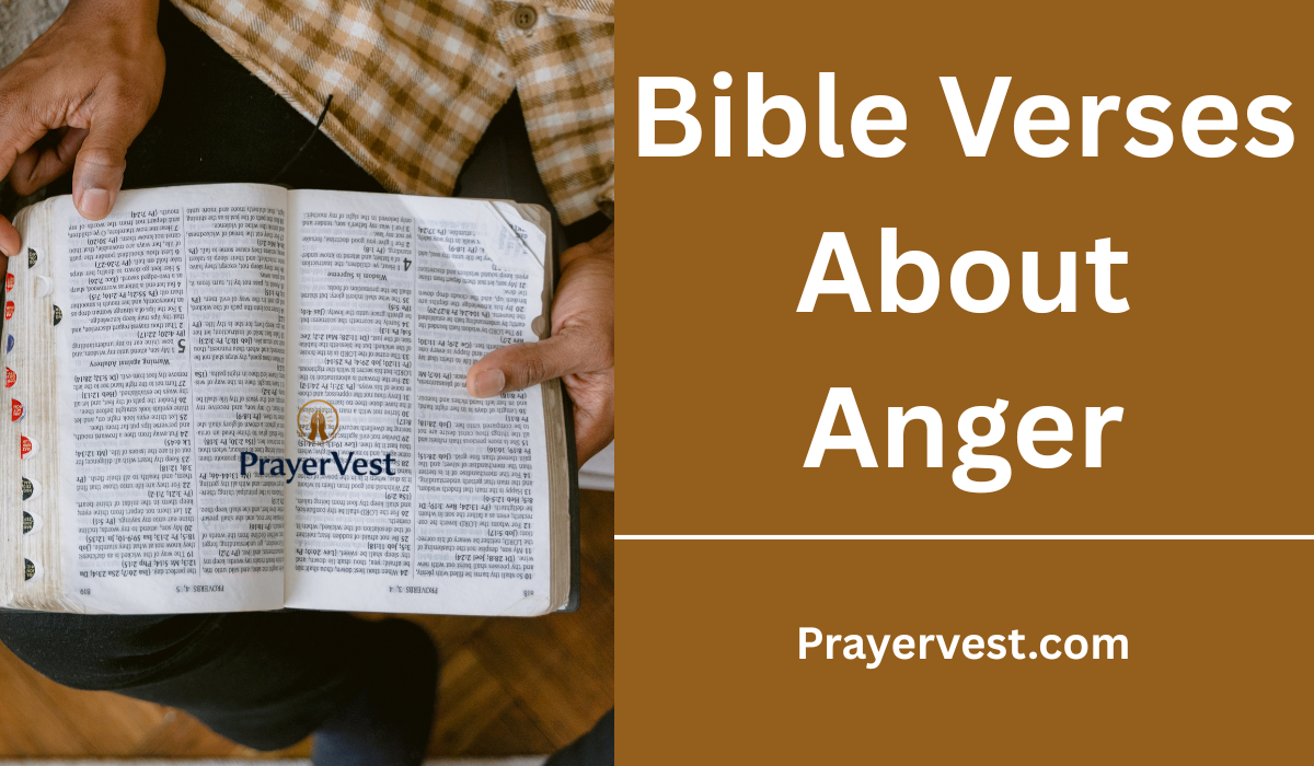 Bible Verses About Anger