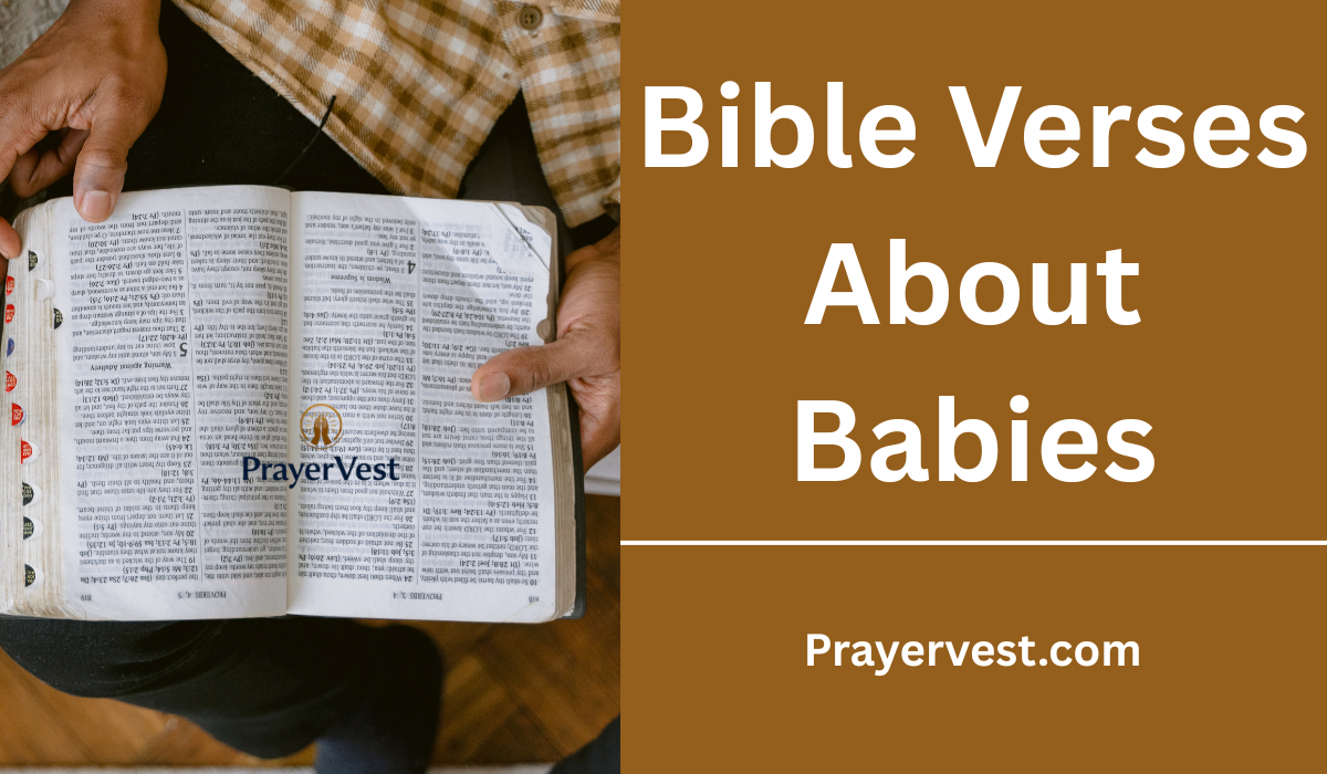 Bible Verses About Babies