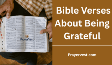 Bible Verses About Being Grateful