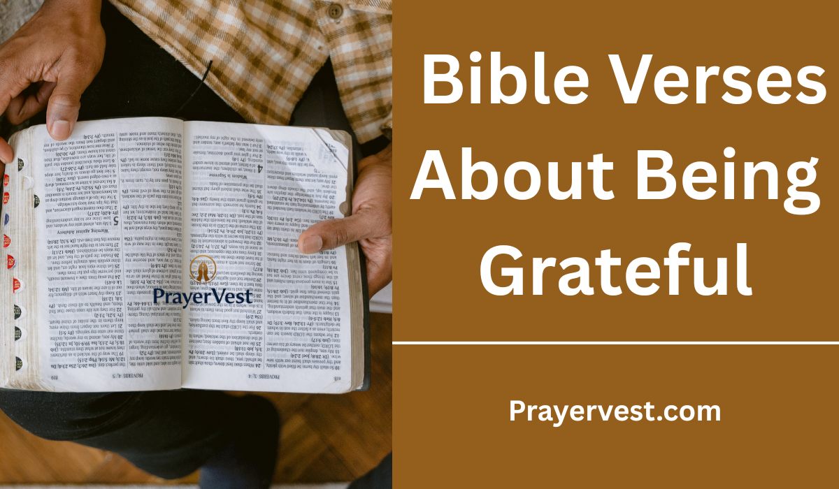  Bible Verses About Being Grateful