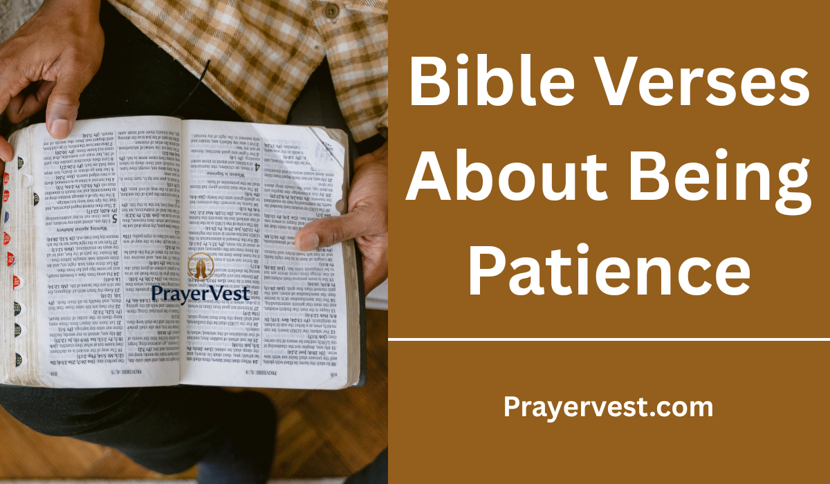 Bible Verses About Being Patience