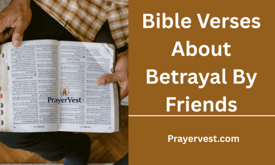 Bible Verses About Betrayal By Friends