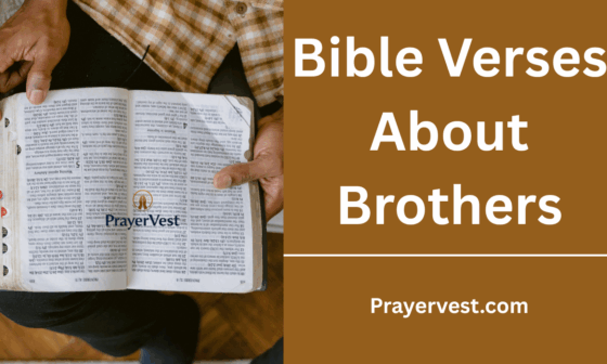 Bible Verses About Brothers
