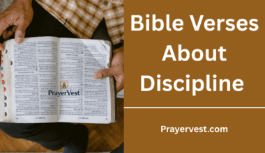 Bible Verses About Discipline