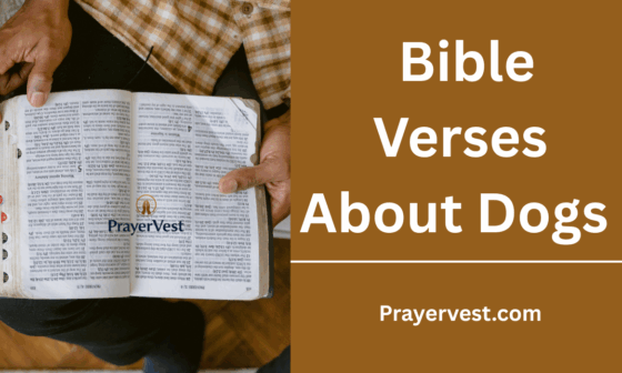 Bible Verses About Dogs