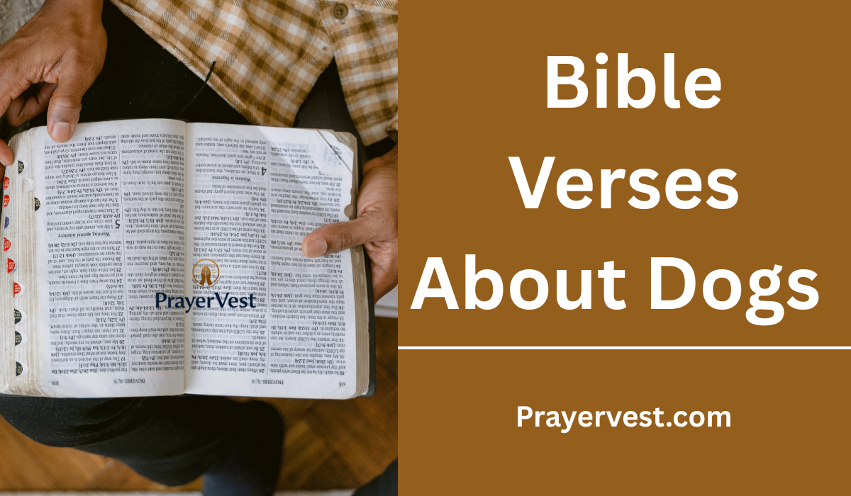  Bible Verses About Dogs 