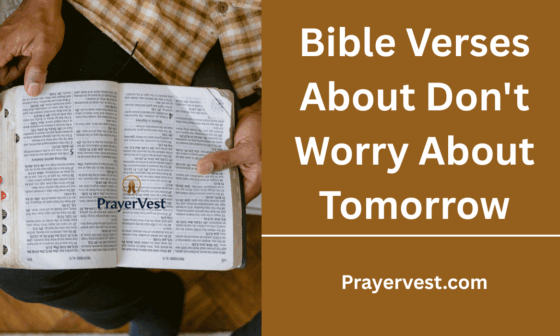 Bible Verses About Don't Worry About Tomorrow
