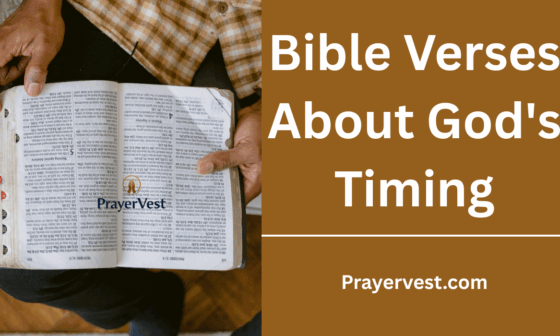 Bible Verses About God's Timing