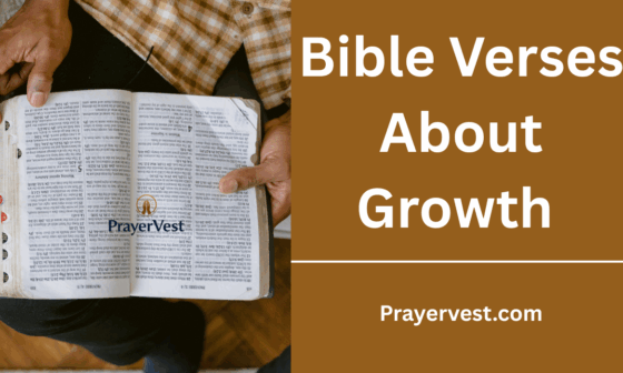 Bible Verses About Growth