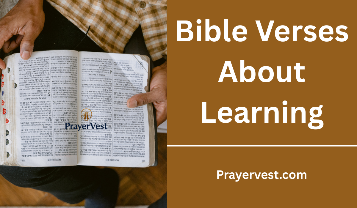 Bible Verses About Learning
