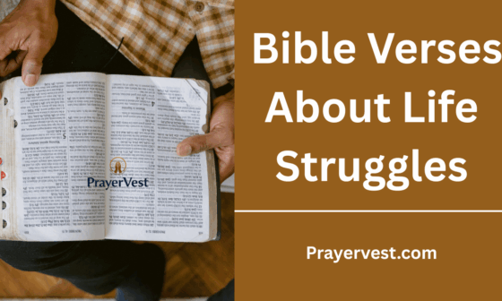Bible Verses About Life Struggles