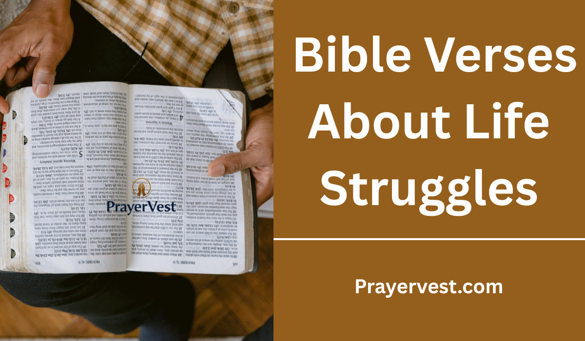 Bible Verses About Life Struggles