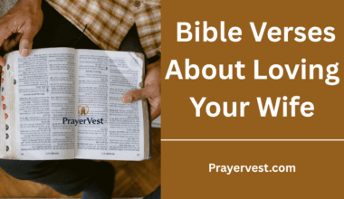 Bible Verses About Loving Your Wife