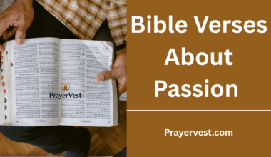Bible Verses About Passion