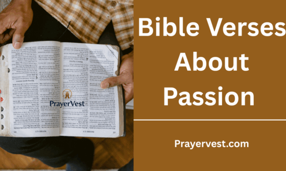Bible Verses About Passion