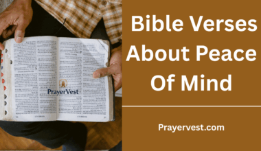 Bible Verses About Peace Of Mind