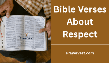 Bible Verses About Respect