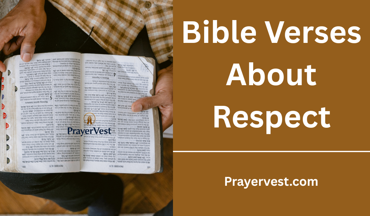 Bible Verses About Respect