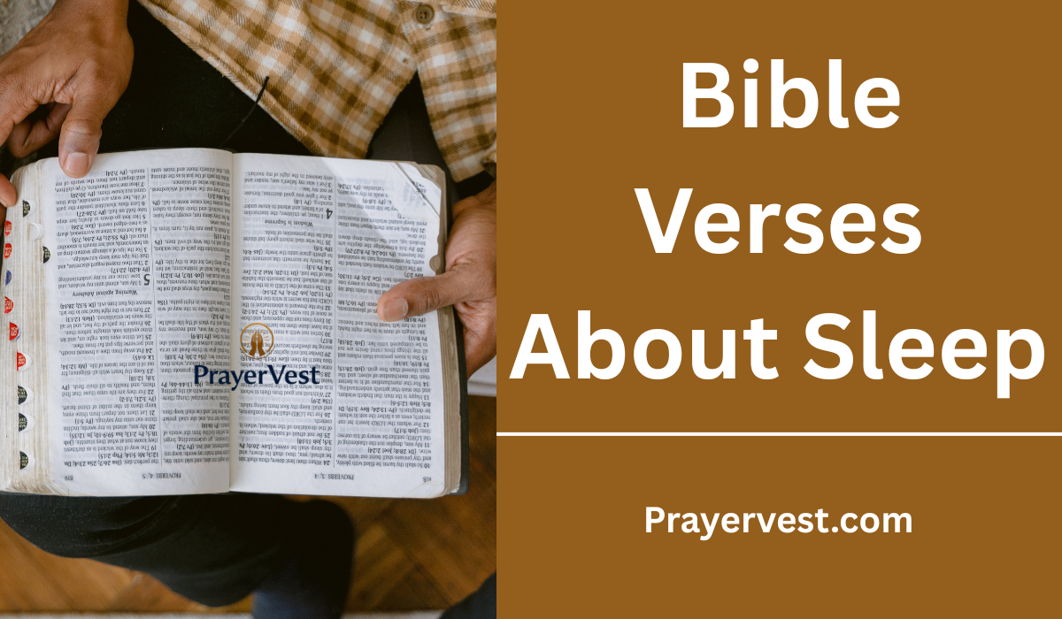 Bible Verses About Sleep