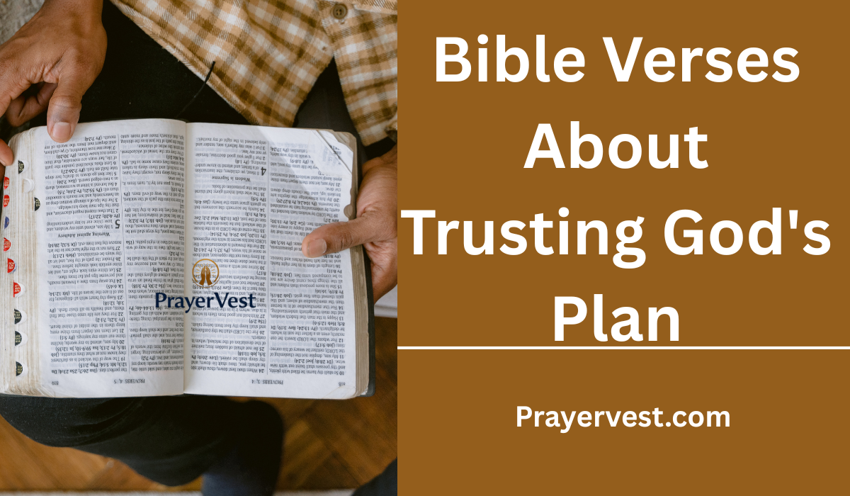Bible Verses About Trusting God's Plan