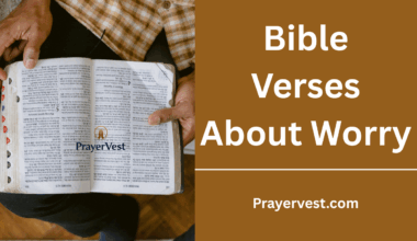 Bible Verses About Worry
