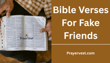 Bible Verses For Fake Friends
