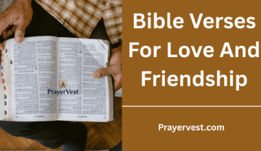 Bible Verses For Love And Friendship