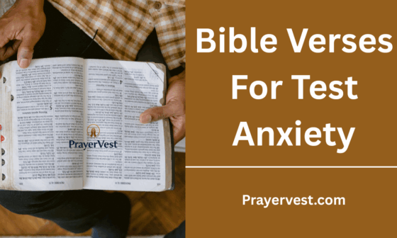 Bible Verses For Test Anxiety