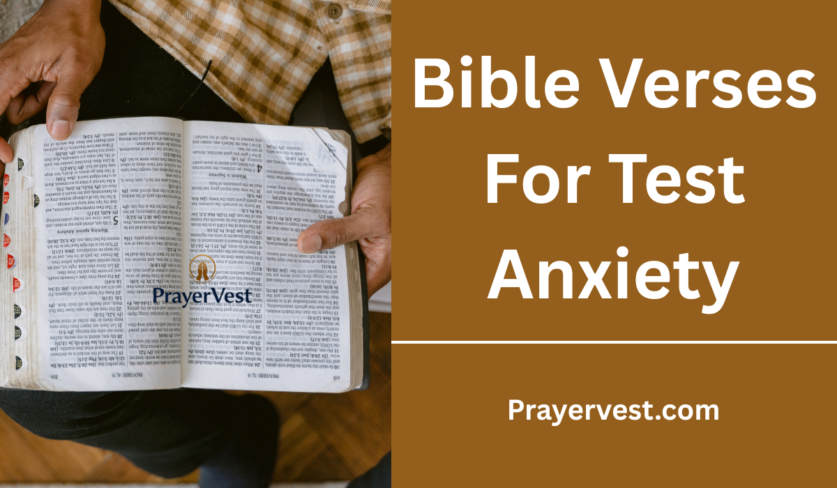 Bible Verses For Test Anxiety