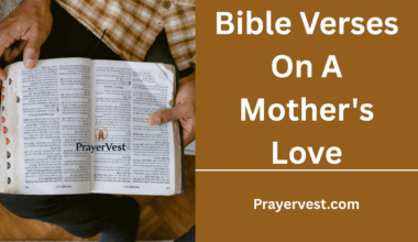 Bible Verses On A Mother's Love
