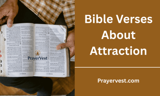 Bible Verses About Attraction