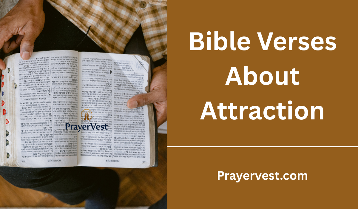 Bible Verses About Attraction