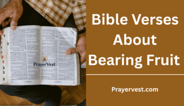 Bible Verses About Bearing Fruit