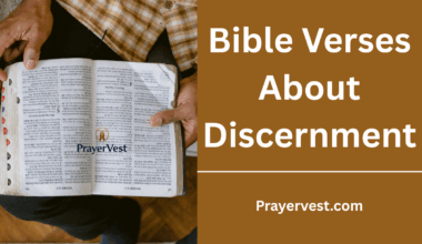Bible Verses About Discernment
